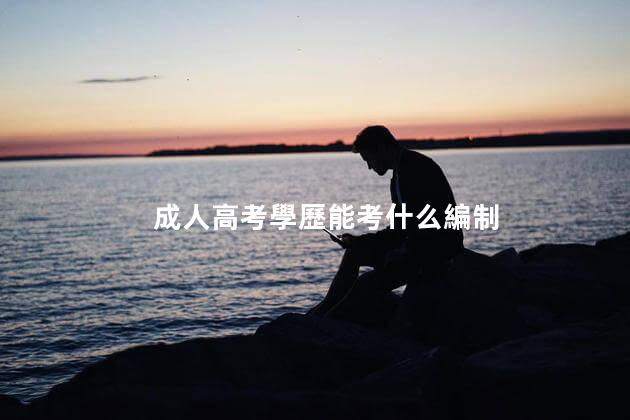 成人高考學歷能考什么編制